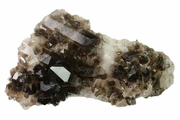 Dark Smoky Quartz Crystal Cluster - Brazil #137839